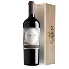 Vino San Pedro Cabo de Hornos Magnum