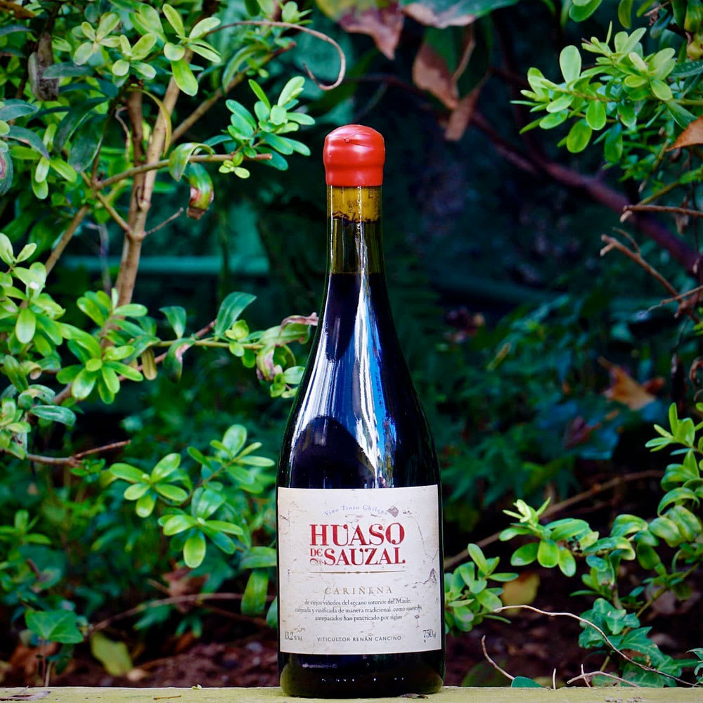 Vino Huaso de Sauzal Cariñena2