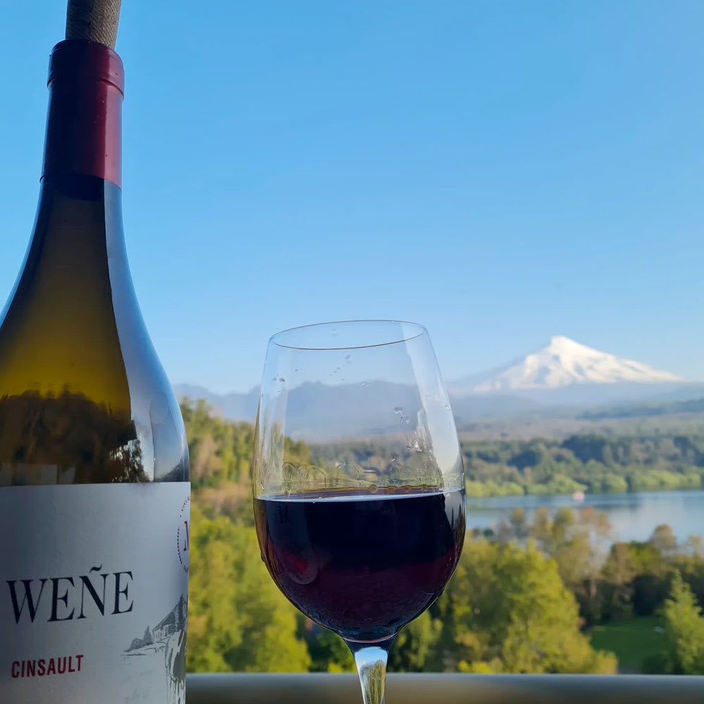 Vino Mardones Weñe Cinsault.2