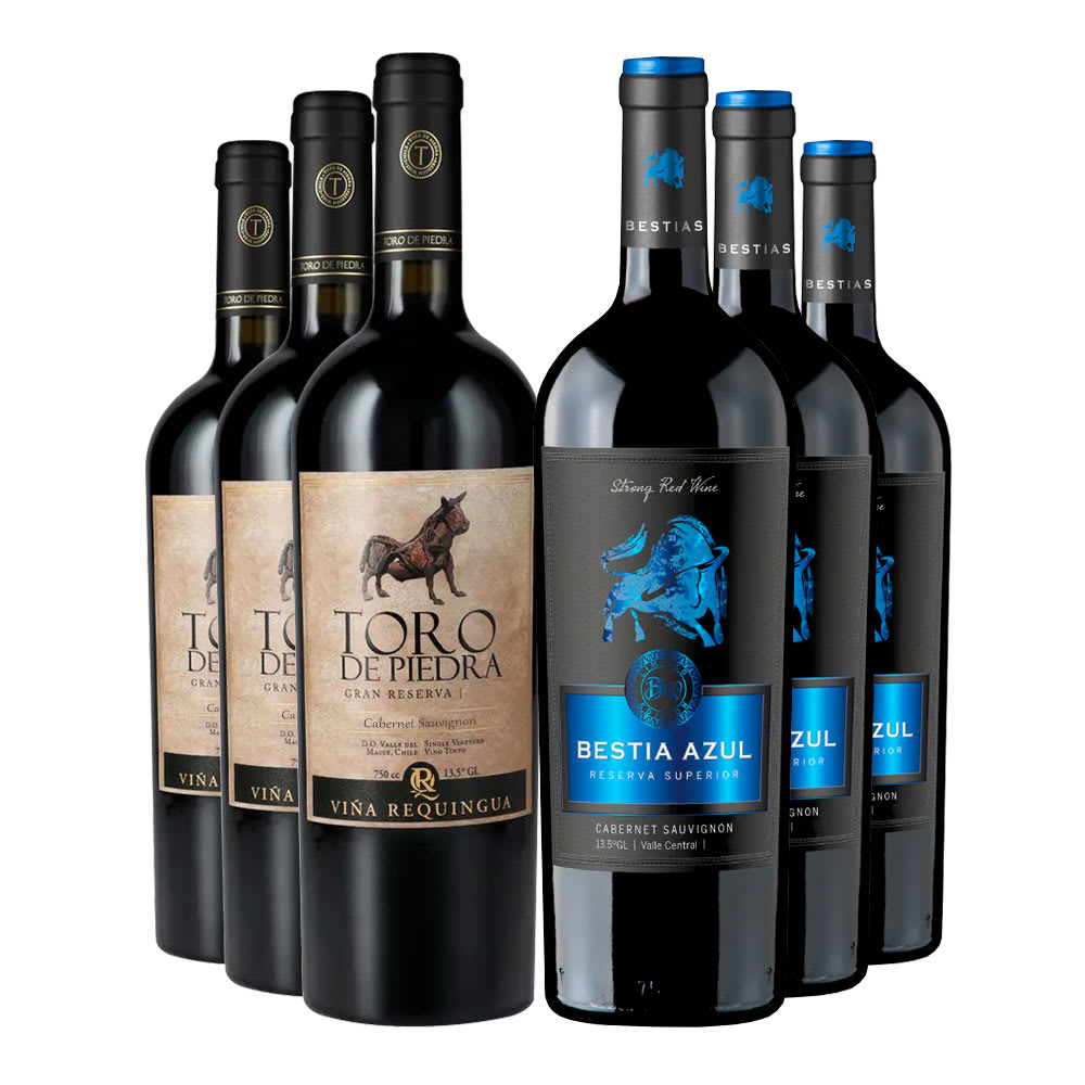6 Vinos Pack Asado1