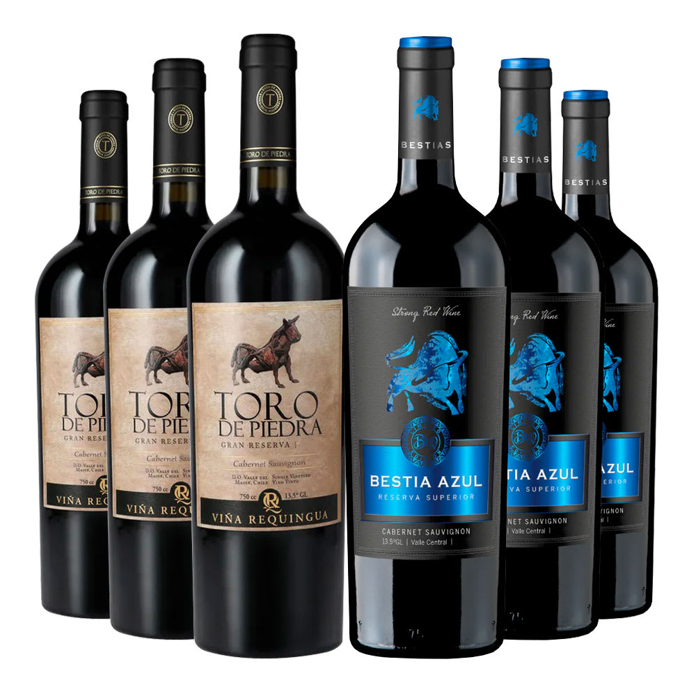 6 Vinos Pack Asado1