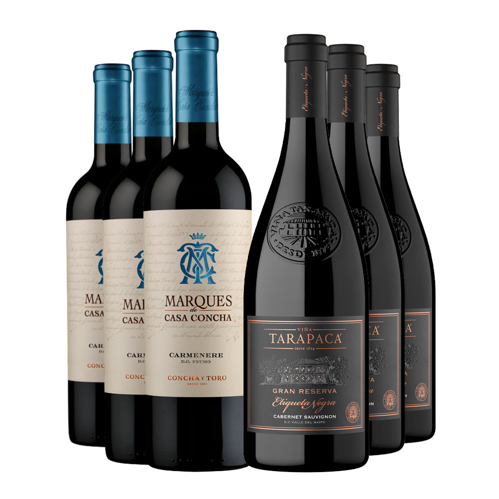 6 Vinos Mix Clasicos: 3 Marques Ca + 3 Tarapaca E.Negra1