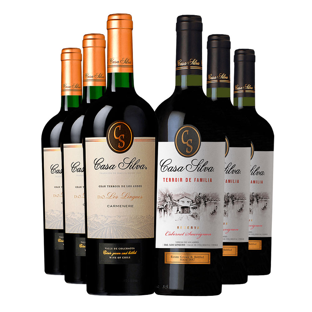 6 Vinos Mix Casa Silva: Gran Terroir CA + Reserva CS1