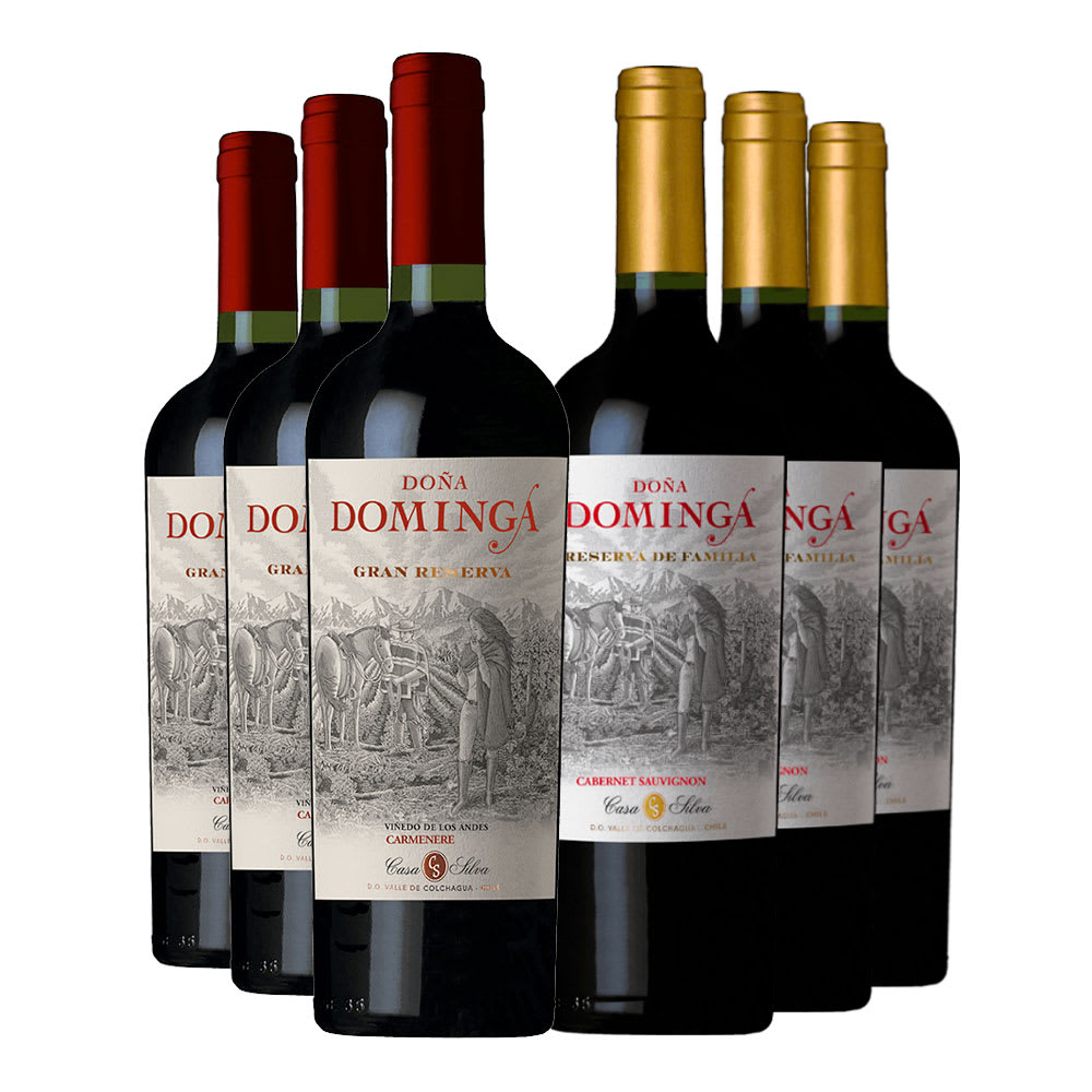 6 Vinos Mix Doña Dominga: 3 Gran Rva. CA + 3 Reserva CS1