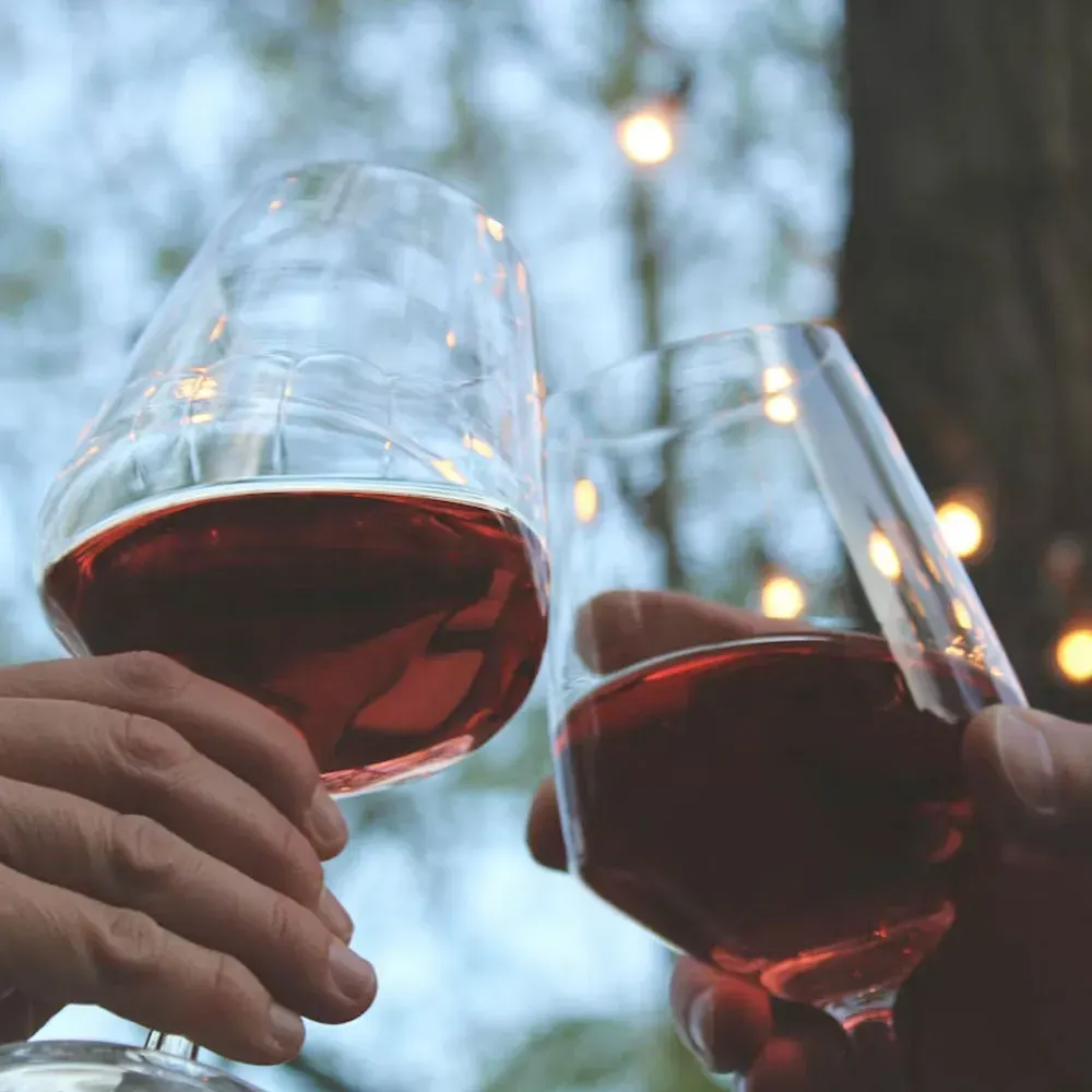 3 Vinos Trilogia en Carmenere2