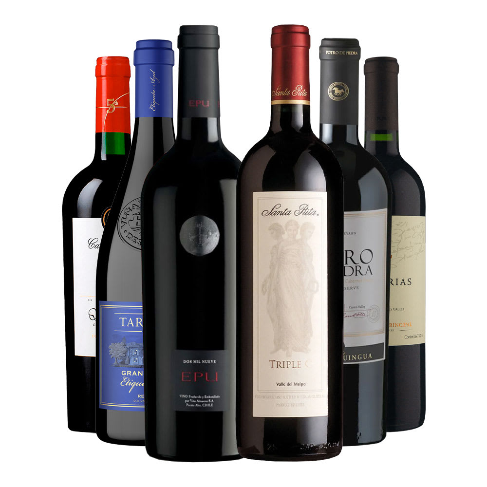 6 Vinos Mix Alta Gama1