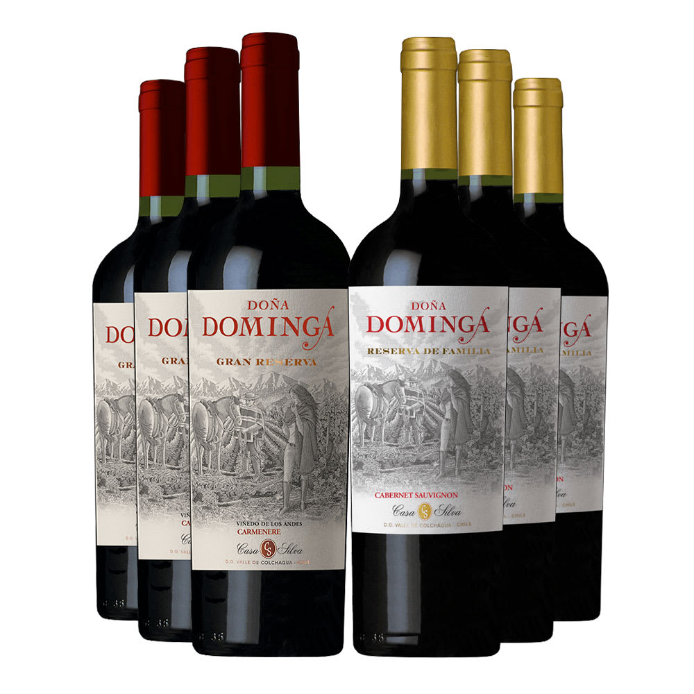 6 Vinos Parrillero Dominga, 3 G Rva Ca + 3 Rva Cs1