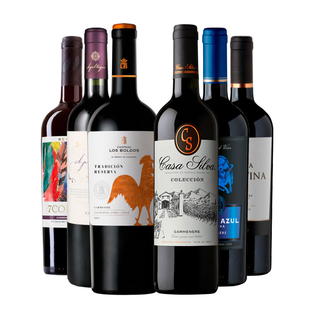 Mix 6 Vinos Reserva Ultra Carmenere1
