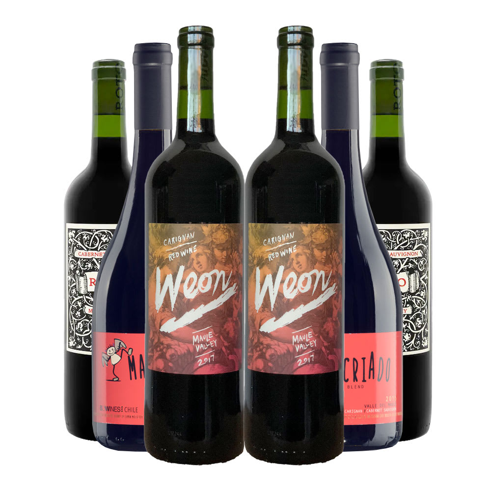 6 vinos Mix Chilenazo1