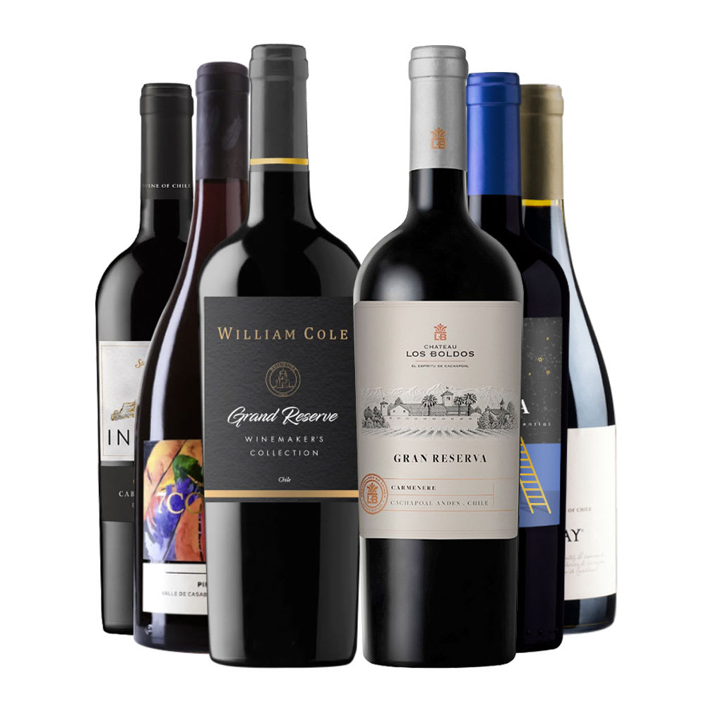 Mix 6 Vinos Top Gran Reserva Tintos1