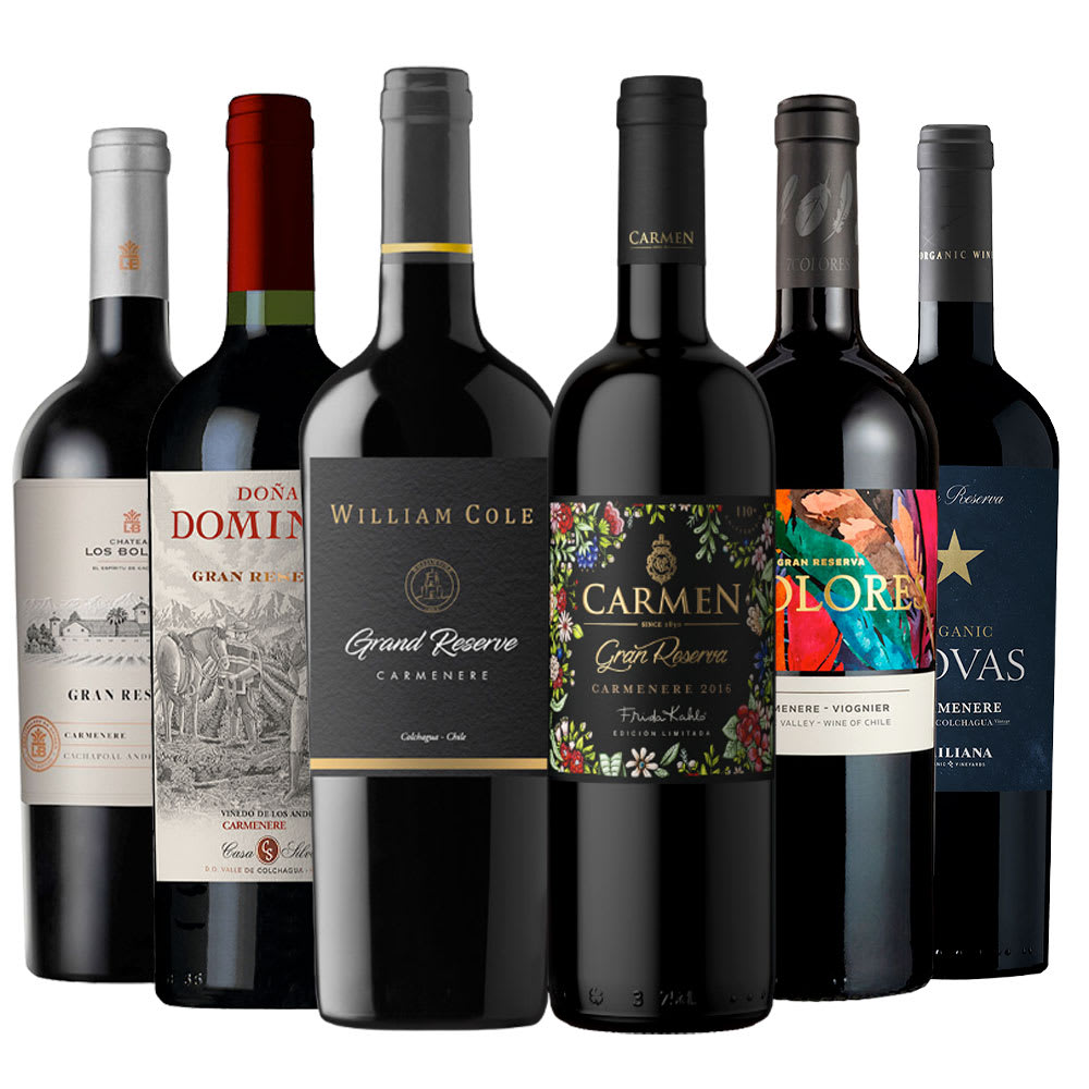 Mix 6 Vinos Top Gran Reserva Carmenere2