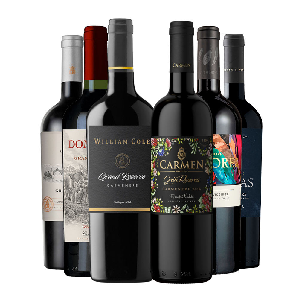 Mix 6 Vinos Top Gran Reserva Carmenere1