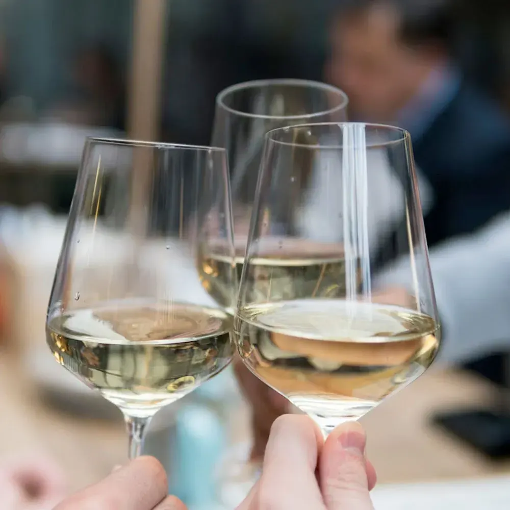 Mix 6 Vinos Reserva Ultra Sauvignon Blanc2