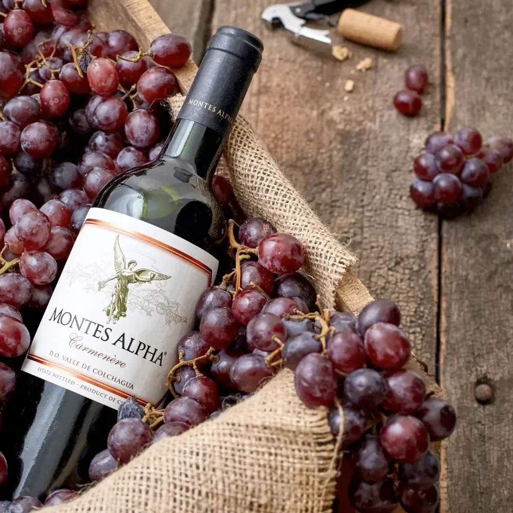 Vino Montes Alpha Carmenere2