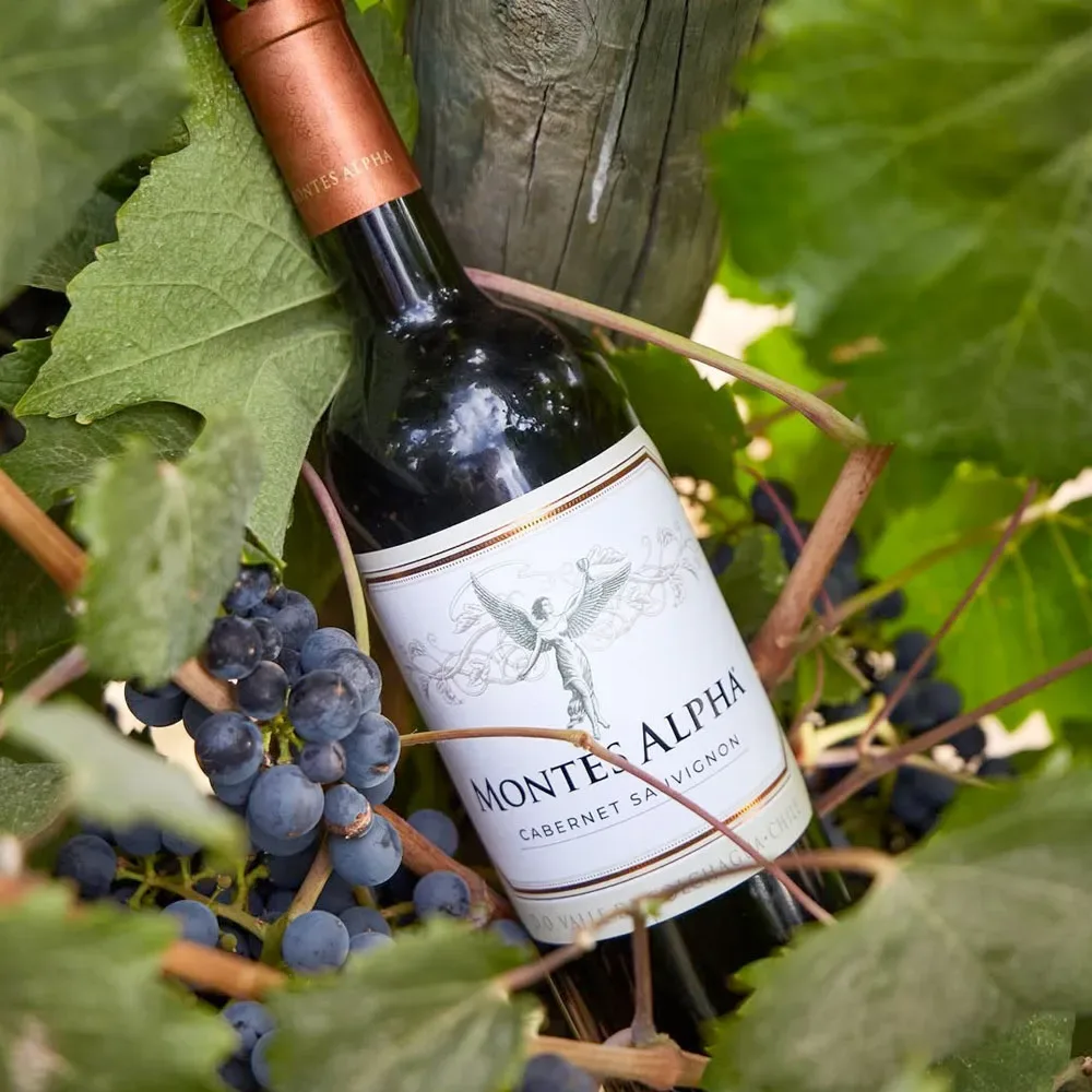 3 Vinos Mix Montes Alpha Collection3