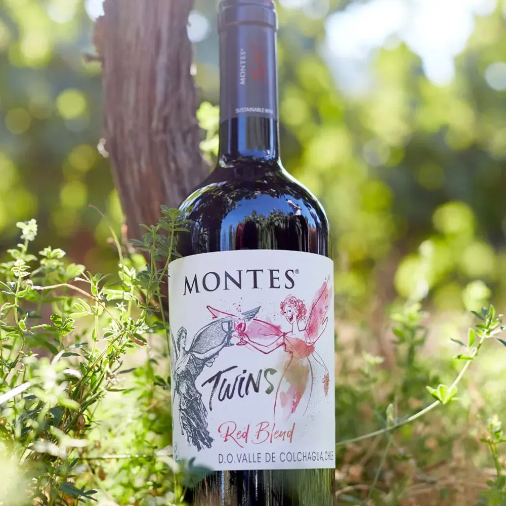 3 Vinos Mix Montes Alpha Collection2