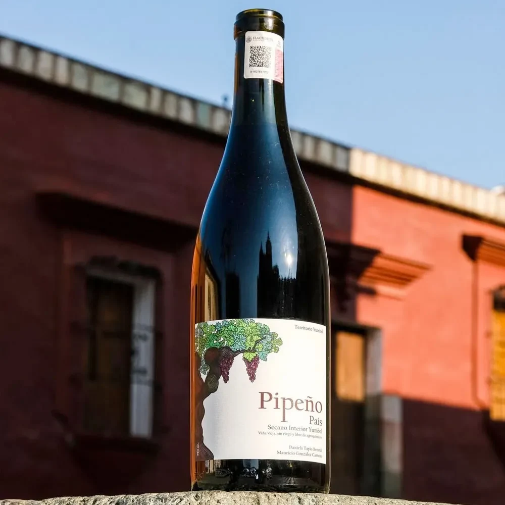 Vino Estacion Yumbel Pipeño Tinto Pais.2