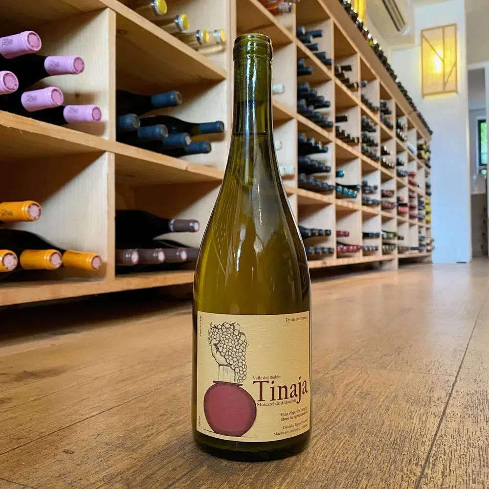 Vino Estacion Yumbel Tinaja Moscatel.2