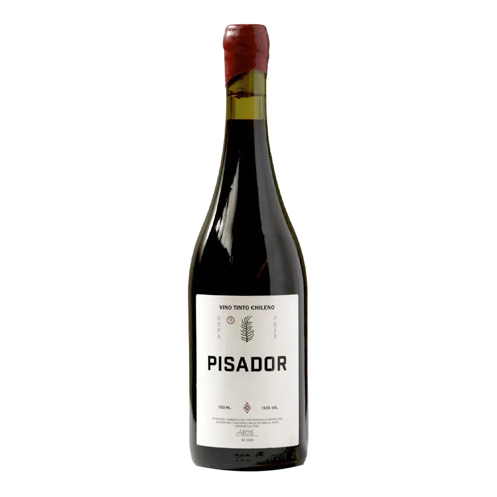 Vino Elena Pantaleoni Pisador Pais1