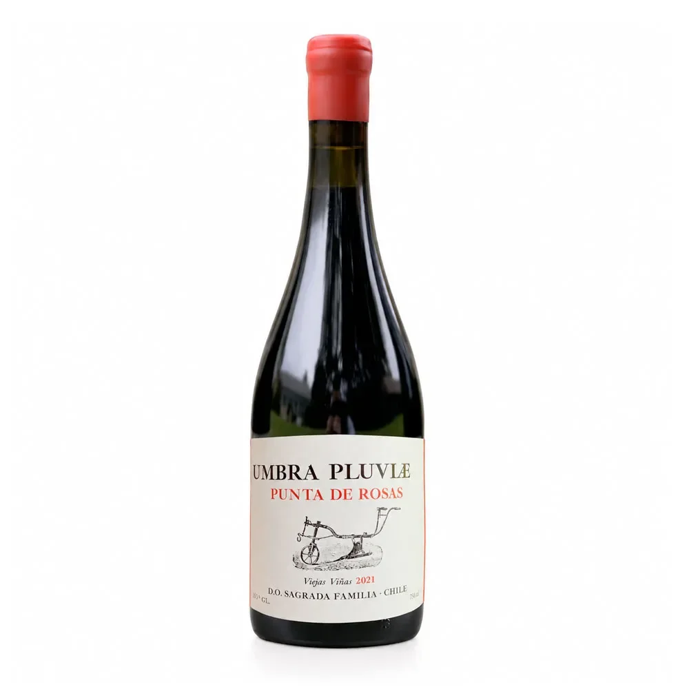 Vino Umbra Pluviae Punta de Rosas Cabernet Franc1