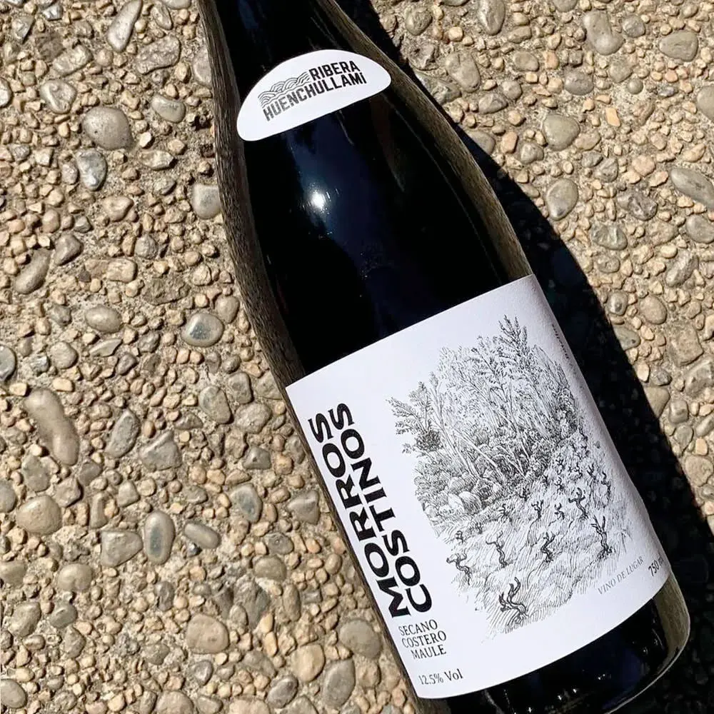 Vino Ribera Huenchullami Morros Costinos Pais1