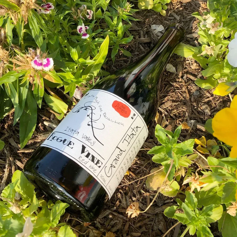 Vino Rogue Vine Grand Itata Cinsault1