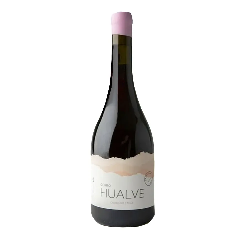 Vino Bodega Cerro Hualve Garnacha1