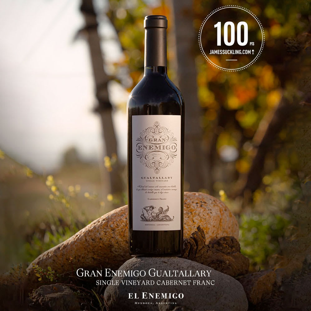 Vino El Enemigo Malbec, Mendoza2