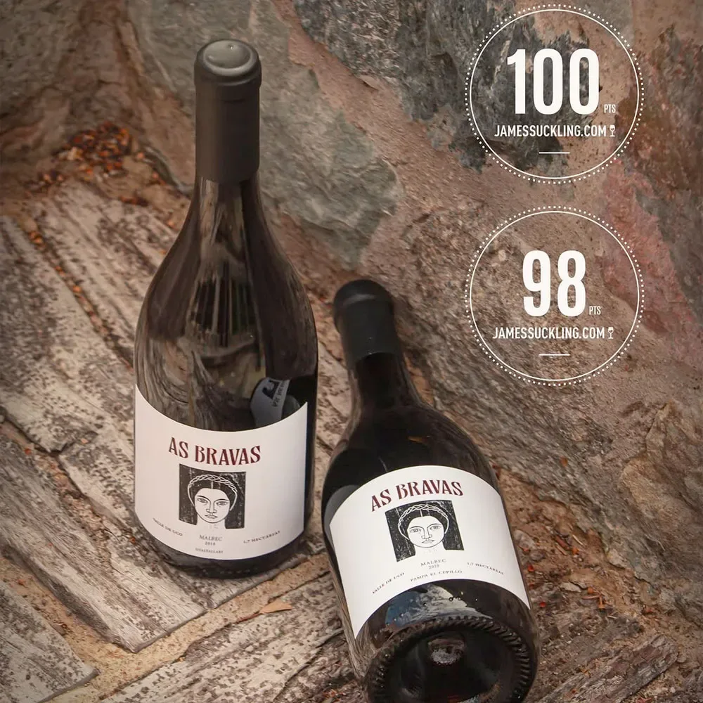 Vino El Enemigo As Bravas Malbec, Uco2
