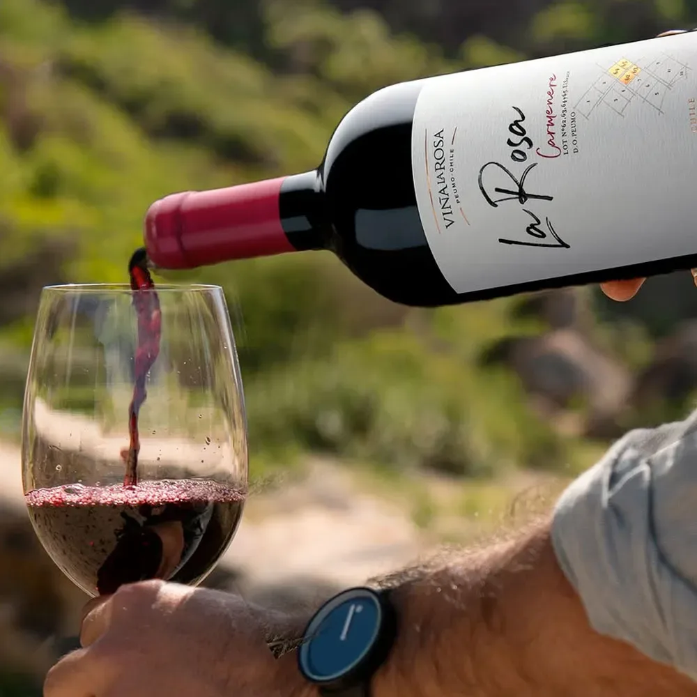 Vino La Rosa Carmenere2