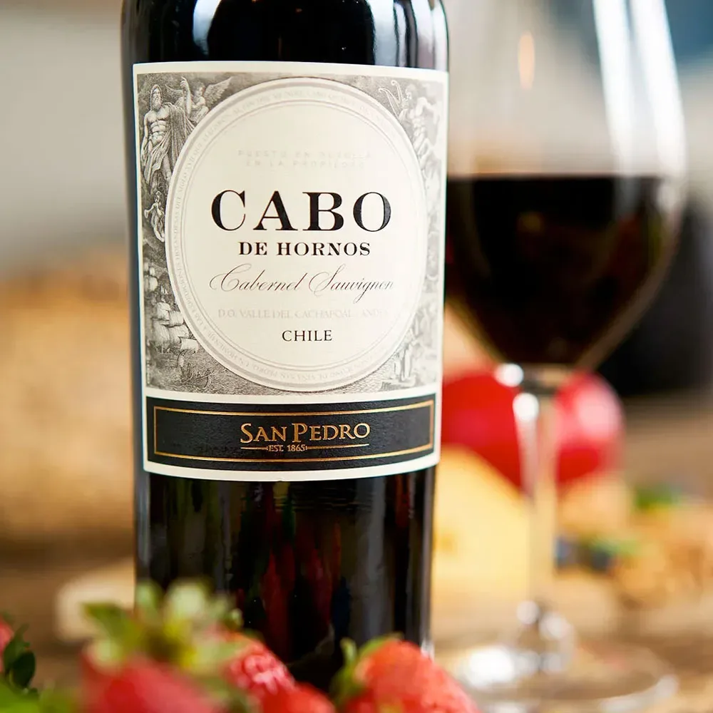 Vino San Pedro Cabo de Hornos Cabernet Sauvignon2