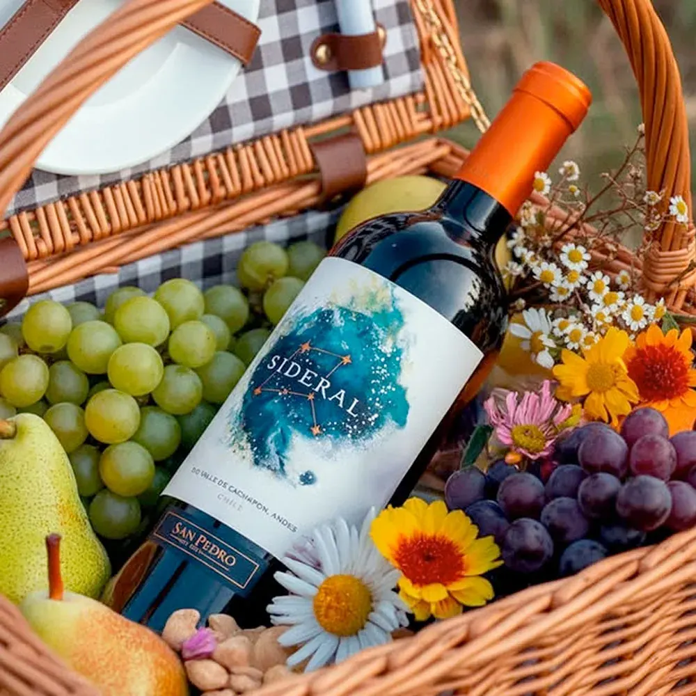 Vino Altair Sideral Ensamblaje2