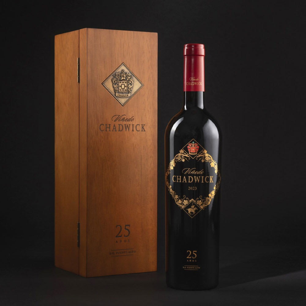 Vino Viñedo Chadwick Cabernet Sauvignon2