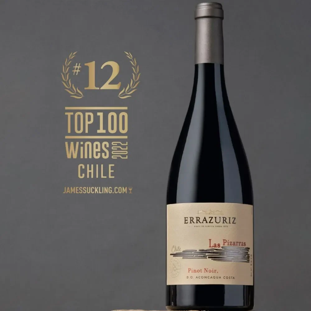 Vino Errazuriz Las Pizarras Pinot Noir1