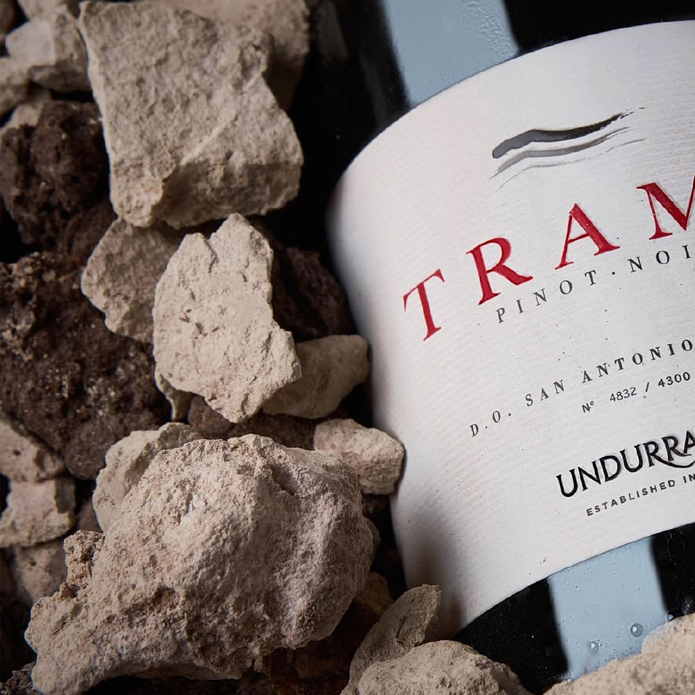 Vino Undurraga Trama Pinot Noir2