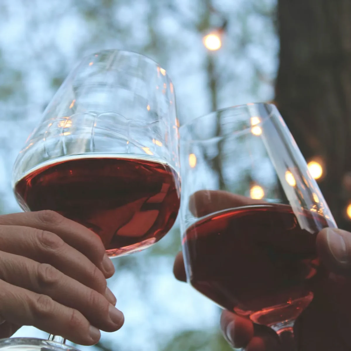 Vino Desalcoholizado Undurraga Aliwen Free Alcohol Cabernet Sauvignon2