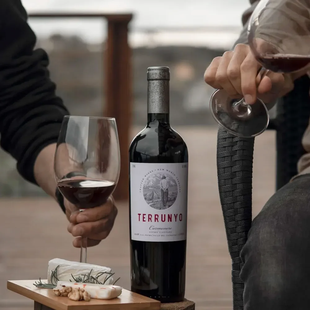 Vino Terrunyo Carmenere2