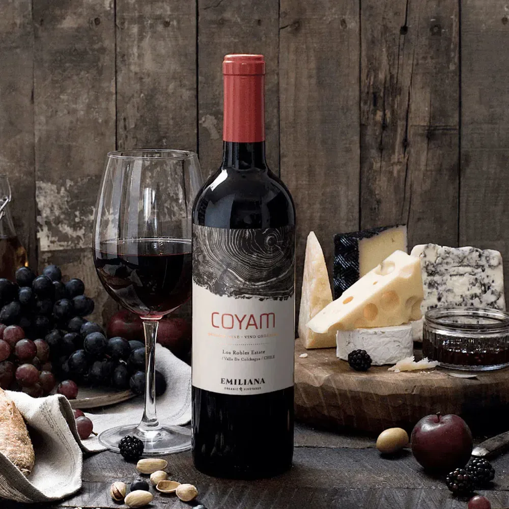 Vino Emiliana Coyam Organico1