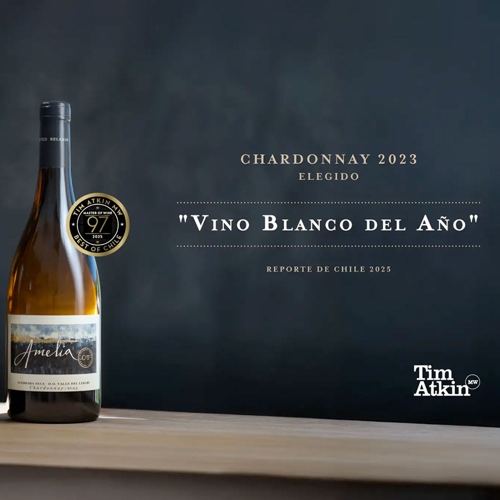 Vino Concha y Toro Amelia Chardonnay4