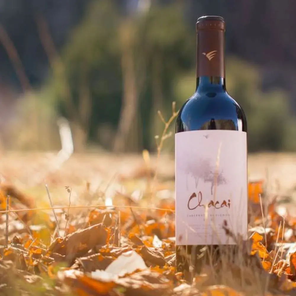 Vino William Fevre Chacai, Ensamblaje2