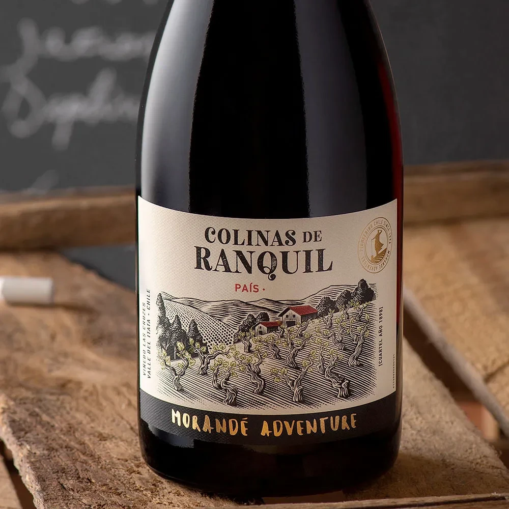 Vino Morande Adventure Colinas de Ranquil, Pais1