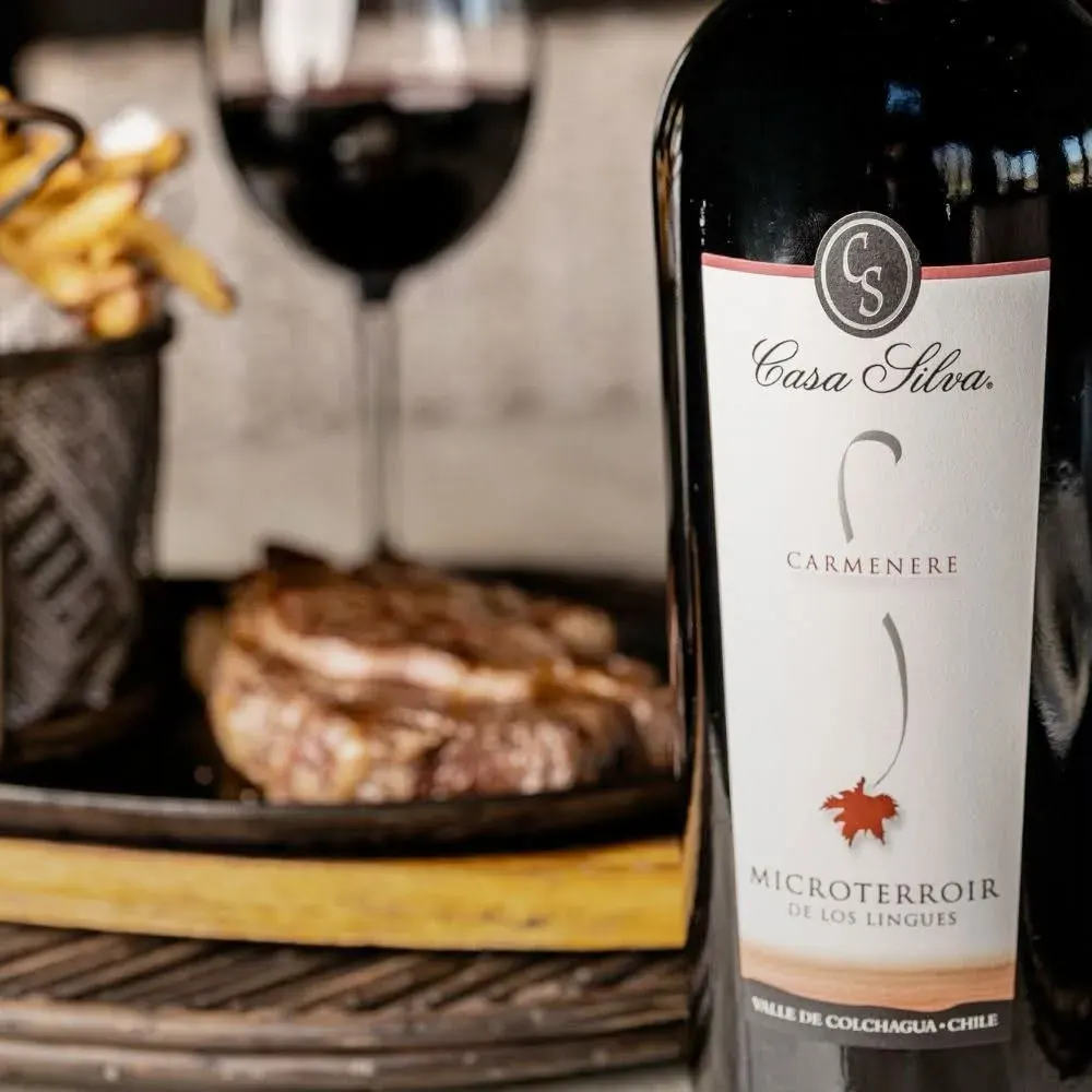 Vino Casa Silva Microterroir, Carmenere2
