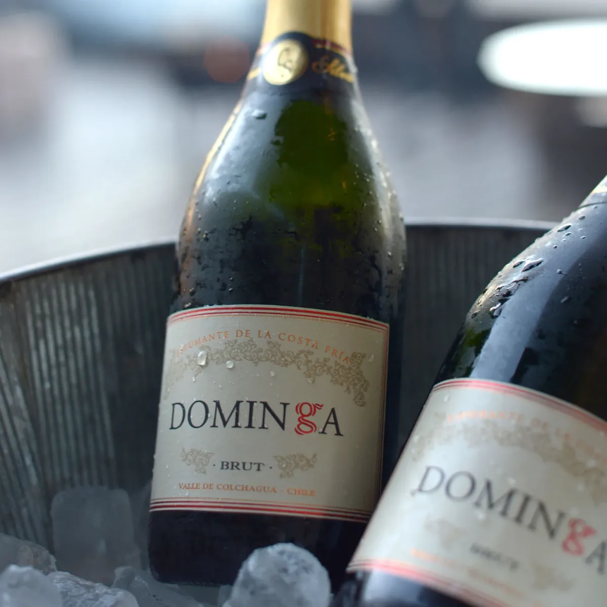 Espumante Dominga Brut2