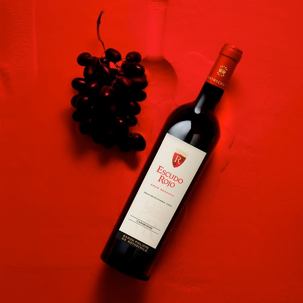 Vino Escudo Rojo Gran Reserva Carmenere2