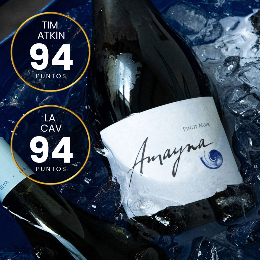 Vino Amayna Pinot Noir2