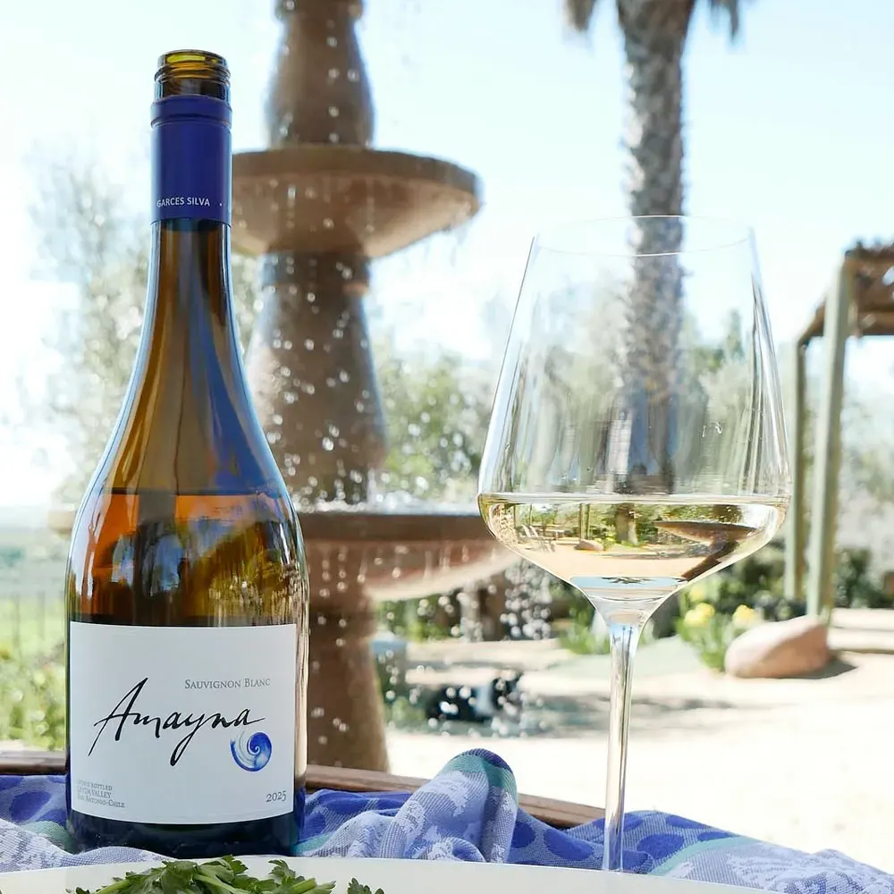 Vino Amayna Sauvignon Blanc2