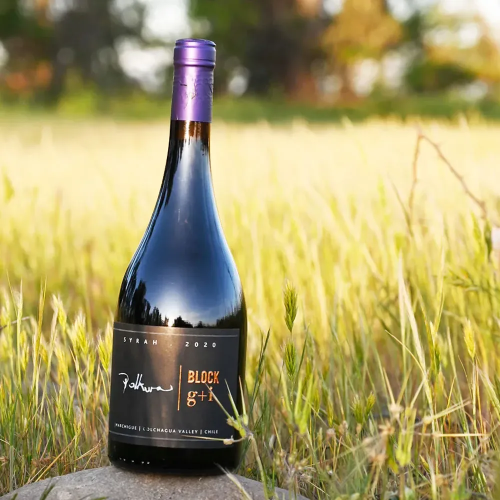 Vino Polkura Block G+i, Syrah2