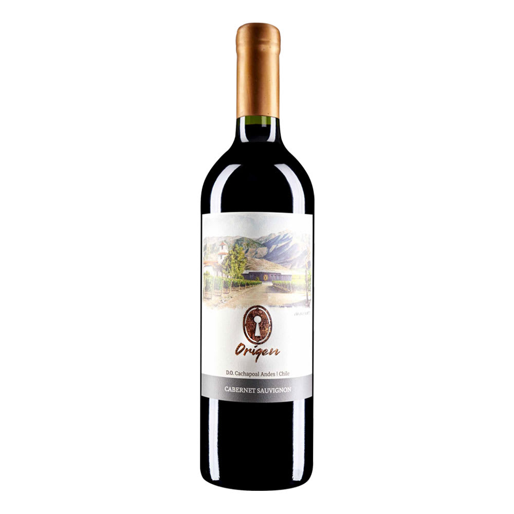 Vino Valle Secreto Origen Cabernet Sauvignon1
