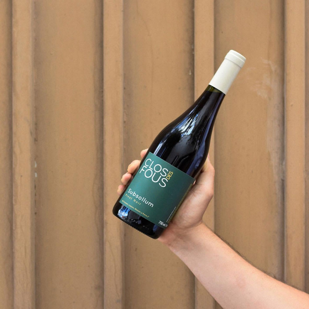 Vino Clos des Fous Subsollum Pinot Noir2
