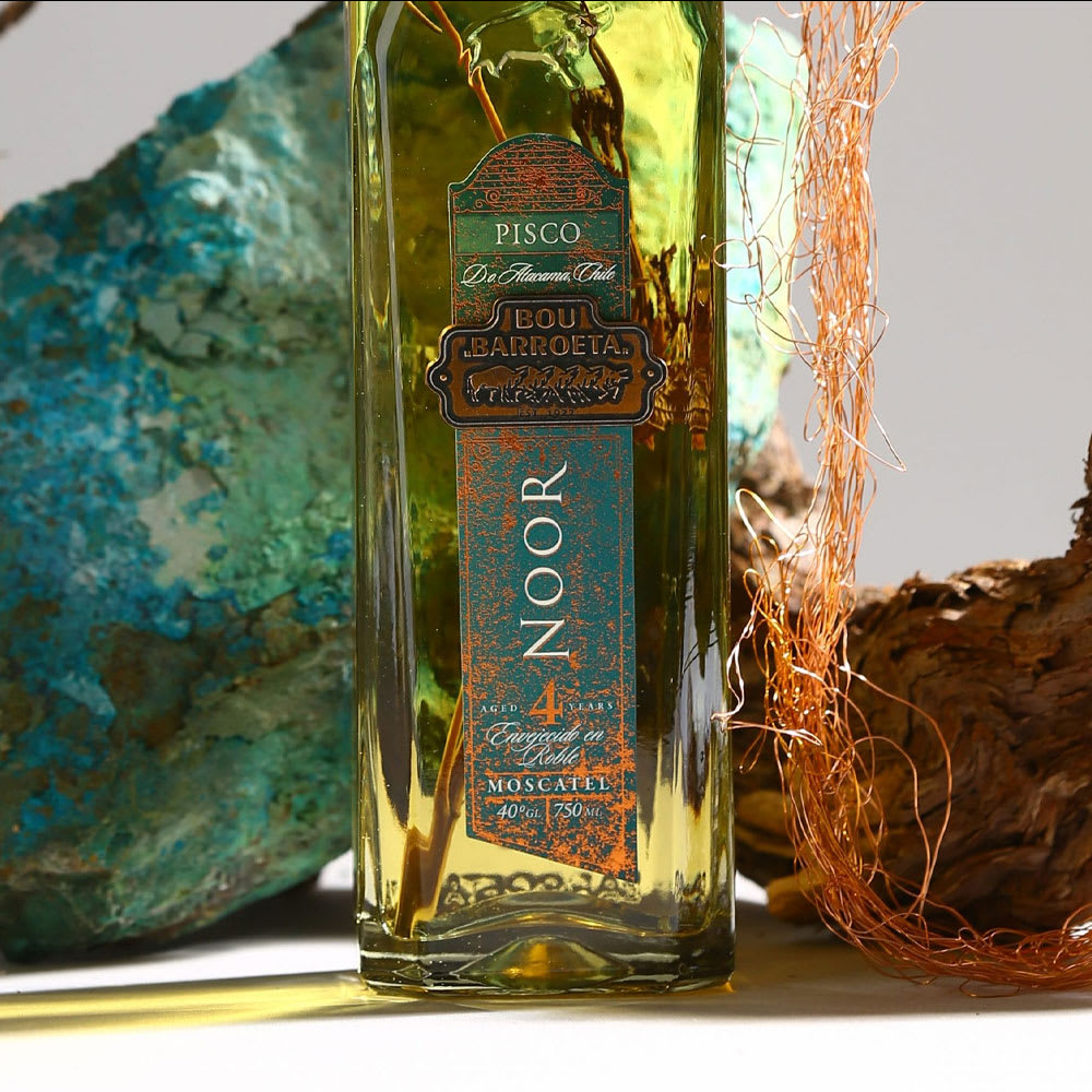 Pisco Bou Barroeta Noor, 4 Años (Hoja)2